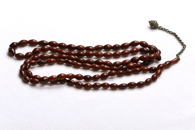 Zeytin Çekirdeği